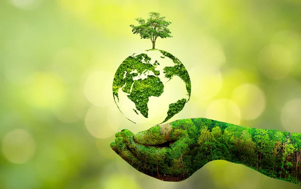 Koncept Zachraňte Svět Zachránit Životní Prostředí Svět Trávě Zeleného Pozadí — Stock fotografie