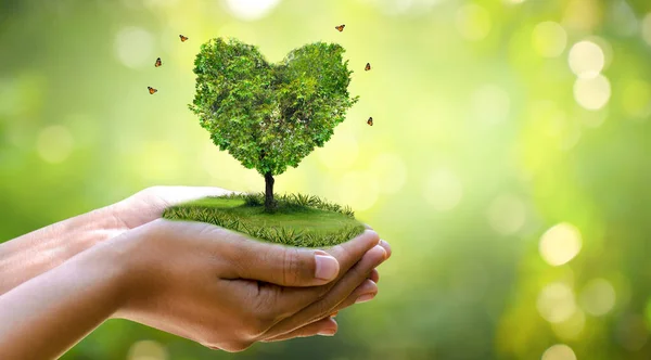 Ręka Trzymając Serce Drzewo Środowisko Ziemi Dzień — Zdjęcie stockowe