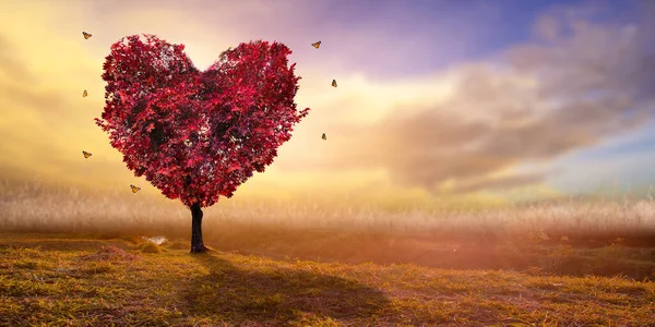 Serce Drzewo Miłość Natury Czerwony Krajobraz Zachodzie Słońca — Zdjęcie stockowe