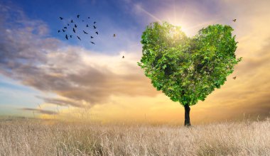 Doğa için Kalp Ağacı Sevgisi