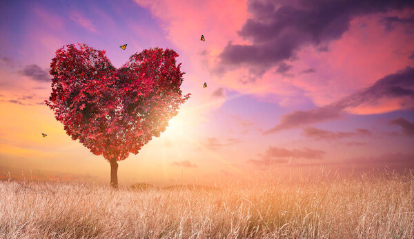 Amour Arbre Coeur Pour Nature Paysage Rouge Coucher Soleil — Photo