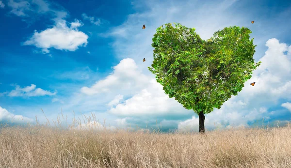 Hart Boom Liefde Voor Natuur Landschap — Stockfoto