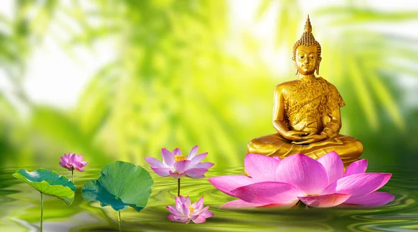 Buddha Statue Wasserlotus Buddha Steht Auf Lotusblume Auf Orangefarbenem Hintergrund — Stockfoto