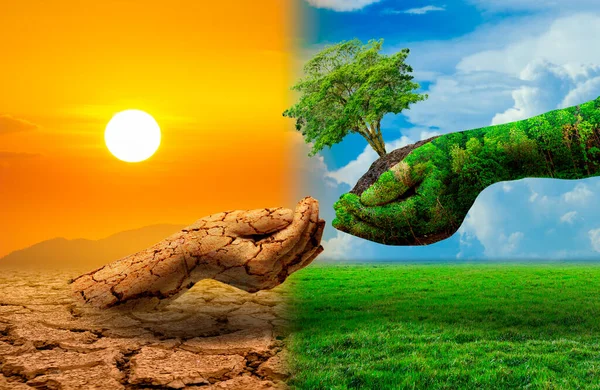 Tree Two Hands Very Different Environments Earth Day World Environment — Stock Photo, Image