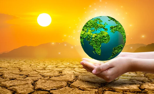 Green Globe Located Extremely Arid Soil — Stock Photo, Image