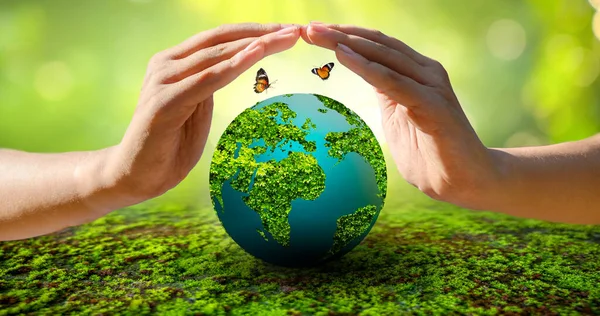 Konzept World Environment Die Welt Liegt Gras Des Grünen Bokeh — Stockfoto