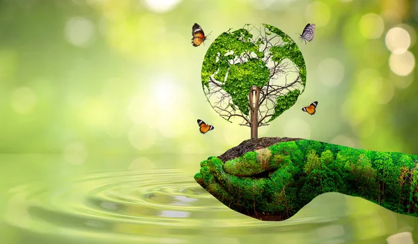 Концепція Врятуйте Світ Зберегти Навколишнє Середовище Світ Траві Зеленого Фону — стокове фото