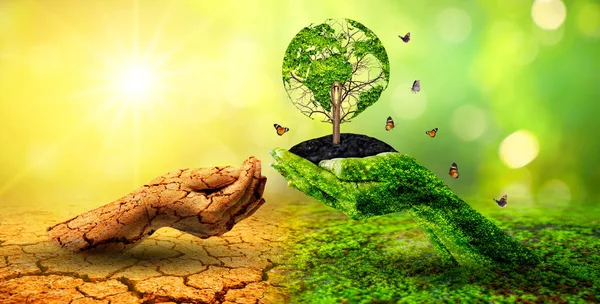 Tree Two Hands Very Different Environments Earth Day World Environment — Stock Photo, Image