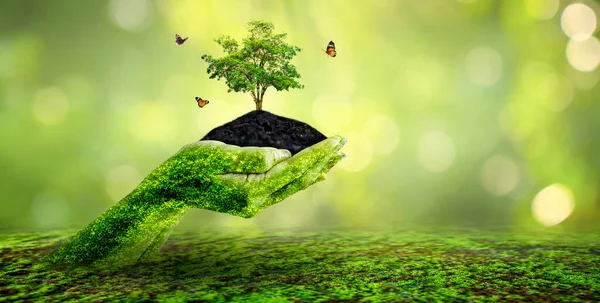 День Земли Руках Деревьев Выращивающих Саженцы Боке Зеленый Фон Женская — стоковое фото