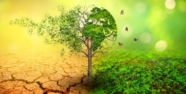 Çevre koruma kavramını çökerten ve parçalayan bir dünya..