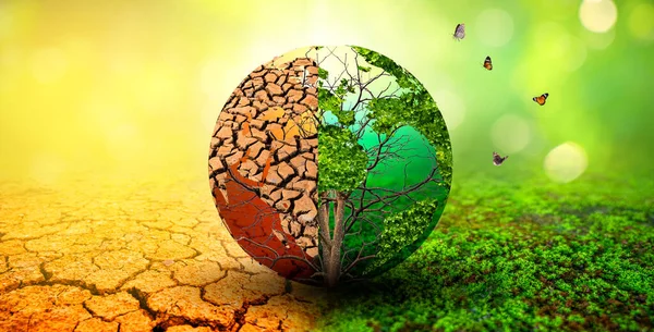 Träd Två Olika Miljöer Earth Day Eller World Environment Day — Stockfoto