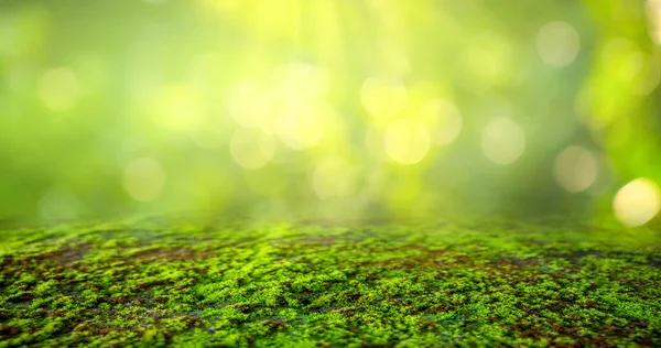 Groene Mos Achtergrond Mossy Textuur — Stockfoto