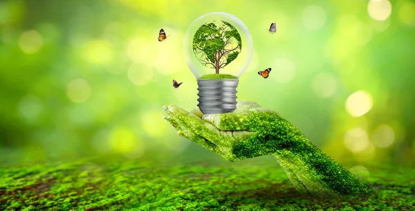 Världsformat Träd Glödlampa Begreppet Miljöskydd Och Skydd Naturen — Stockfoto