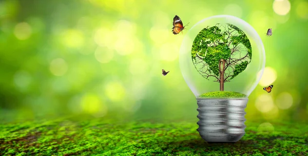 Världsformat Träd Glödlampa Begreppet Miljöskydd Och Skydd Naturen — Stockfoto
