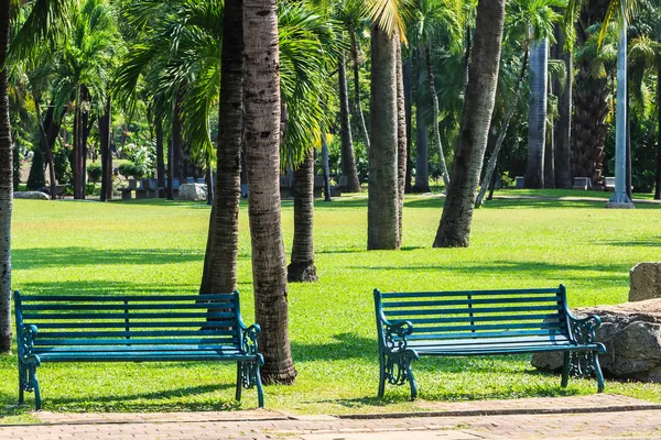 Grüne Bänke im tropischen Garten — Stockfoto