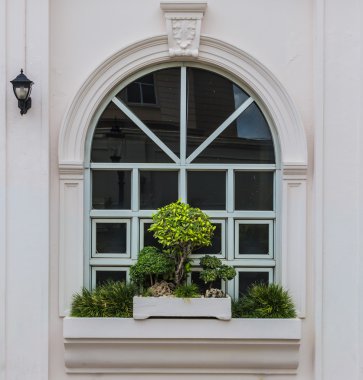 bonsai dekorasyonu ile kemer penceresi
