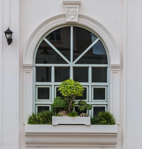 Arch window with bonsai decoration — Stock Photo, Image