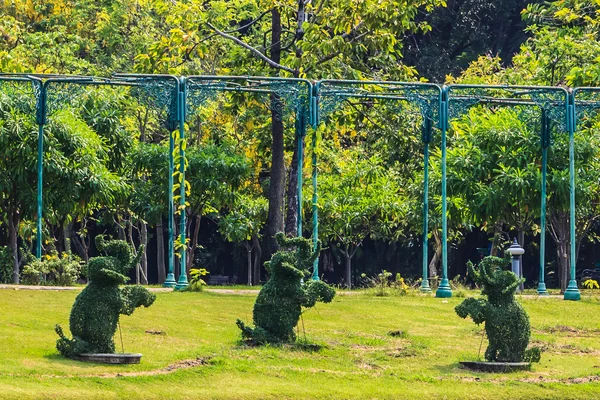 Topiary sloni v tropickém parku, bangkok, Thajsko, záběr. — Stock fotografie