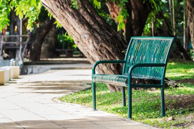 Bahçedeki Yeşil Metalik Benç