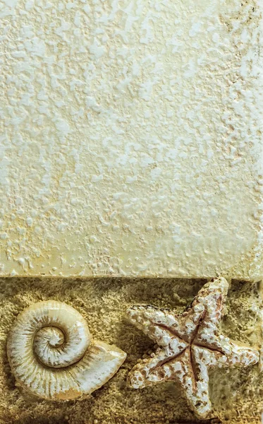 Sea shell en zeester op bruine achtergrond, close-up in verticale patroon — Stockfoto