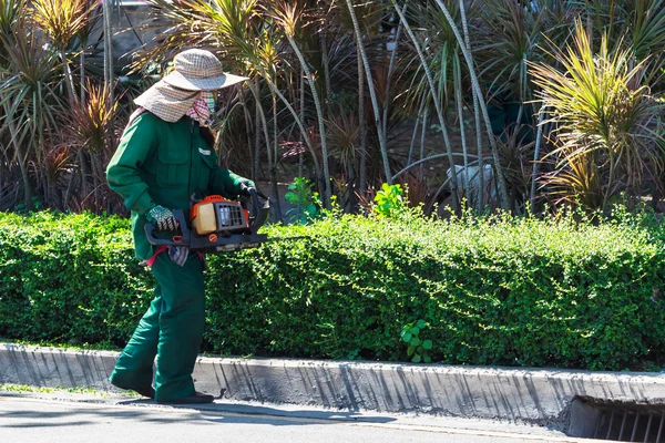 Женщина стрижет изгородь с помощью триммер-машины — стоковое фото