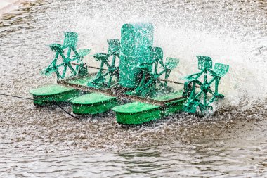 kürek tekerlek aerator, portre