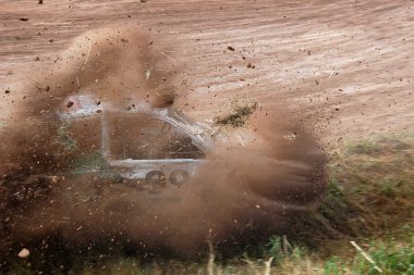 bir hayatta kalma yarışı