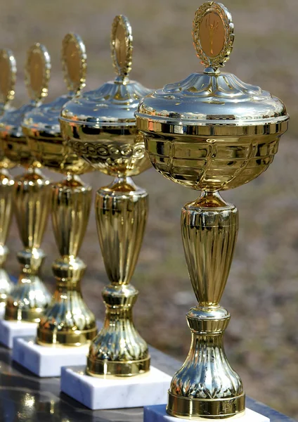 Prize cups Stock Image