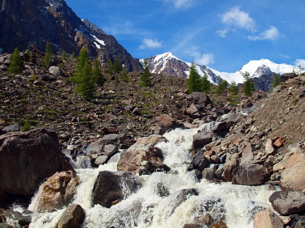 Rivier hoofden aktru — Stockfoto