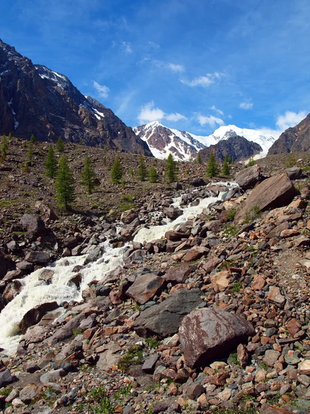 Teste di fiume Aktru — Foto Stock