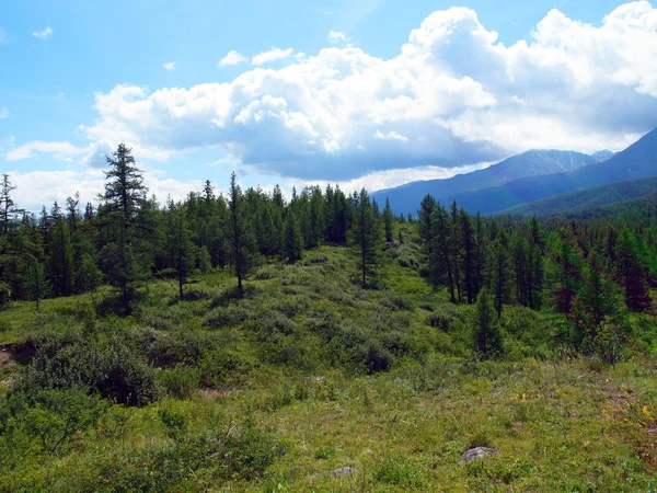 Valle della montagna — Foto Stock