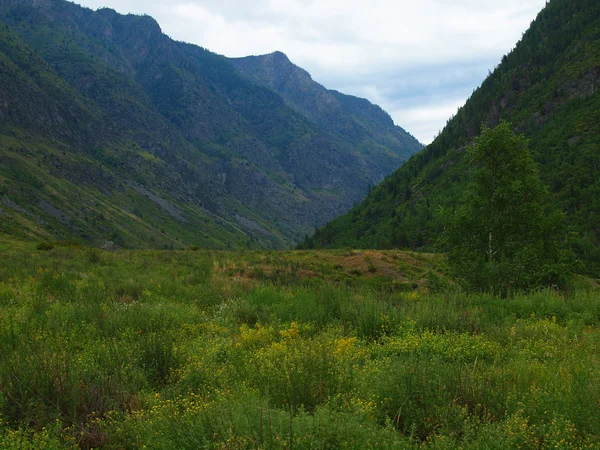 Valle della montagna — Foto Stock