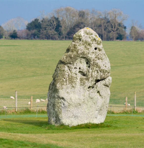 Stonehenge 'de yalnız bir kaya.