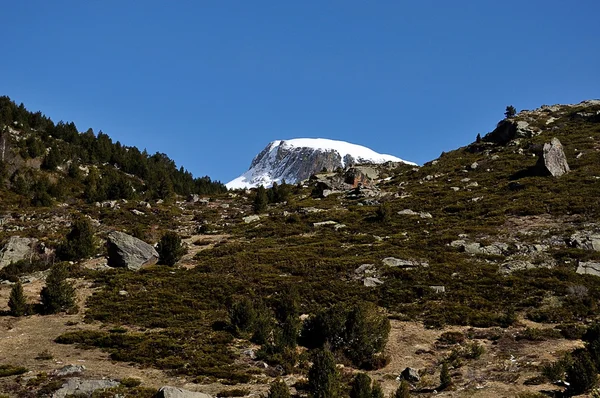 Pico nevado —  Fotos de Stock