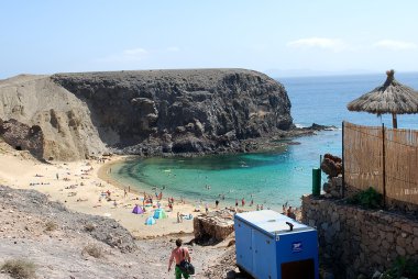 dere papagayo