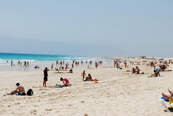 Spiaggia di Fuerteventura — Foto Stock