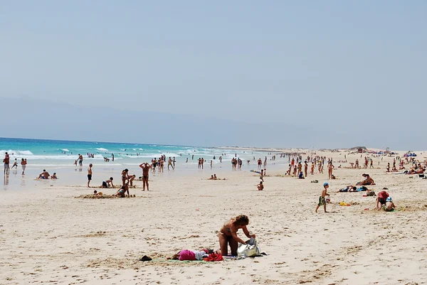 Fuerteventura beach — Stok fotoğraf