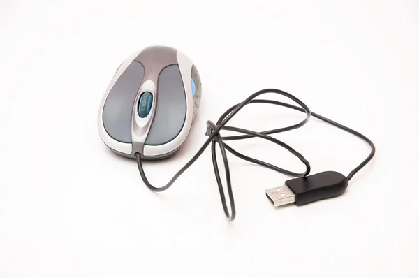 Computer Mouse — Stock Photo, Image