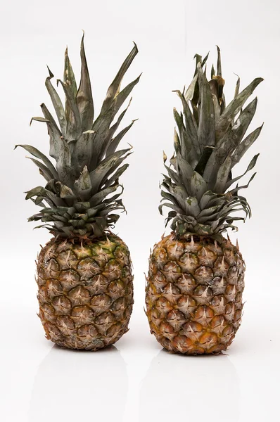 Ananas (vinbär) — Stockfoto