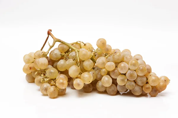 Cacho de uvas — Fotografia de Stock