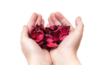 Yapma el işaretleri