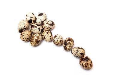 bıldırcın yumurtası