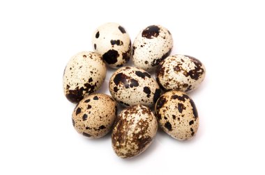 bıldırcın yumurtası