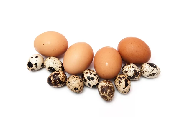 Chicken eggs and quail — Stockfoto