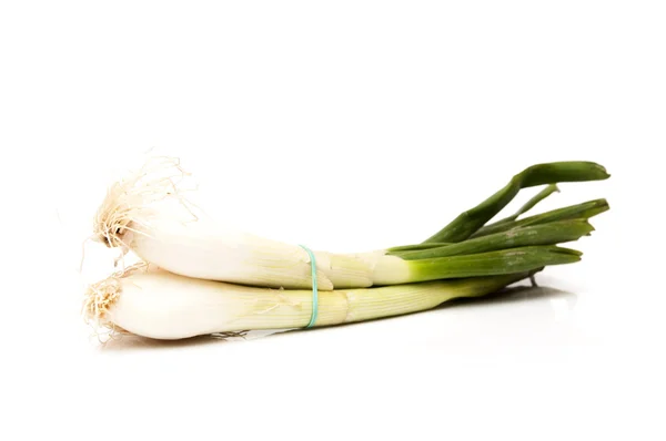 Large onions — Stock Photo, Image