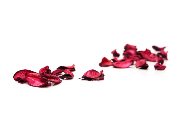 Petals of love — Stock Photo, Image