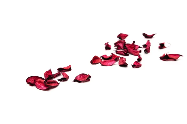 Petals of love — Stock Photo, Image