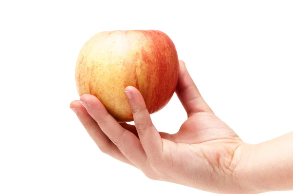 Mains tenant une pomme — Photo