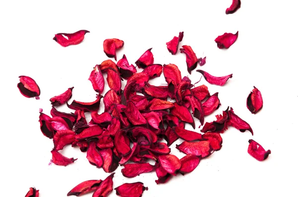 Flower petals — Stock Photo, Image