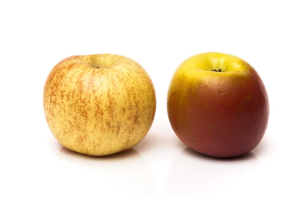 Pommes de couleur — Photo